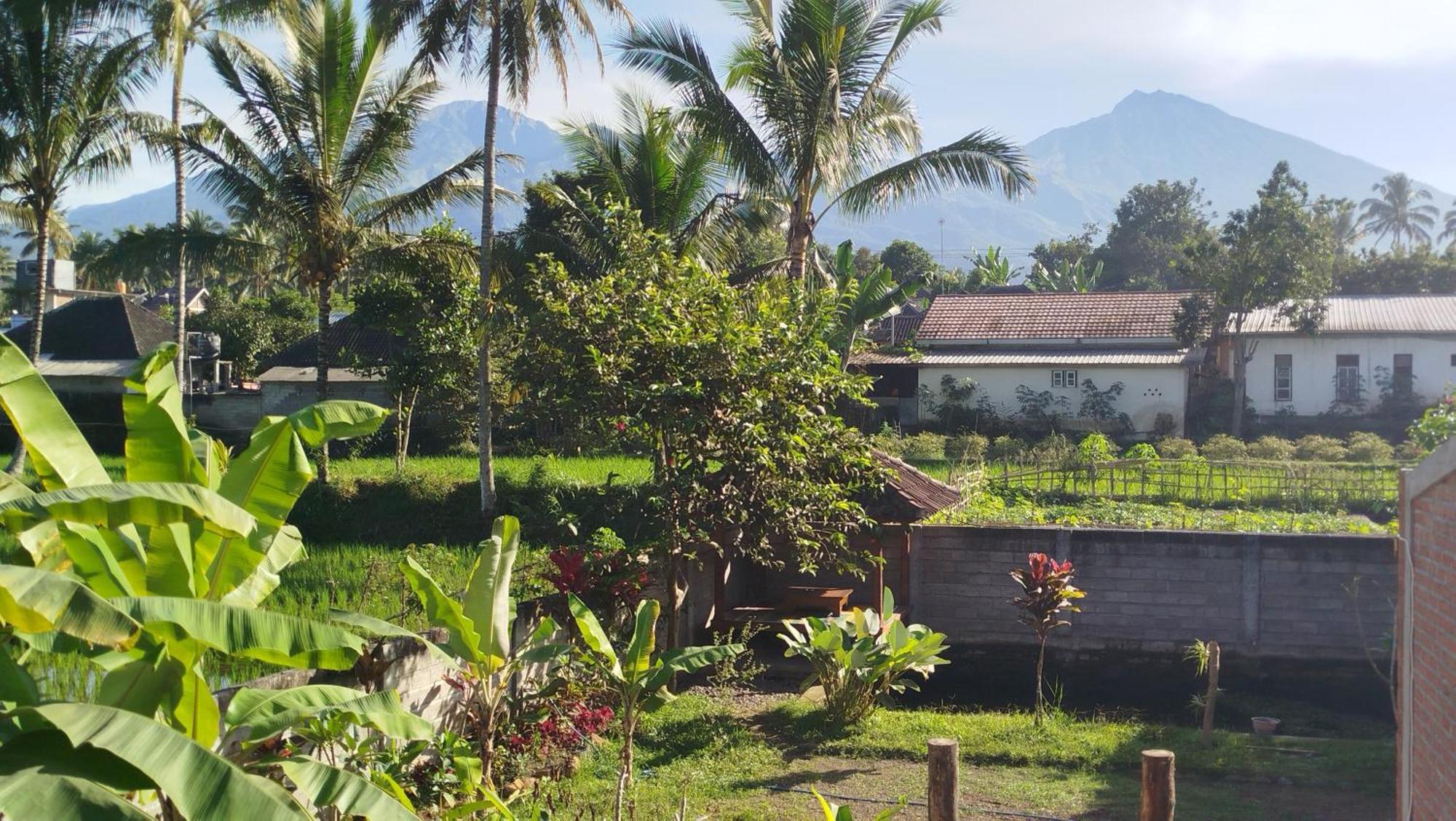 Arista Homestay Tetebatu Eksteriør bilde