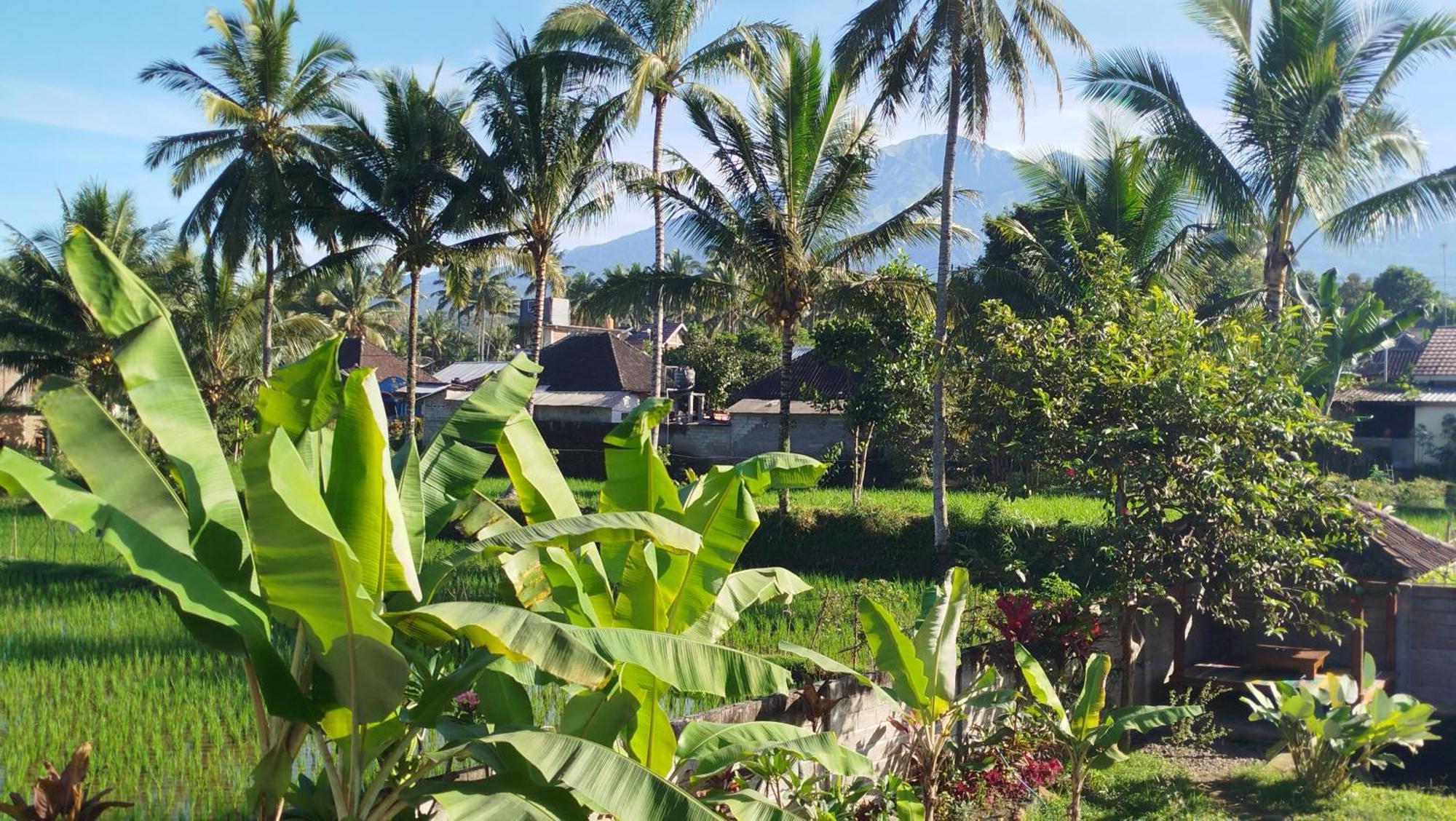 Arista Homestay Tetebatu Eksteriør bilde